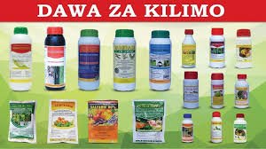 Jinsi ya Kufungua Duka la Pembejeo za Kilimo na Mbolea Tanzania: Mwongozo Kamili wa Hatua kwa Hatua