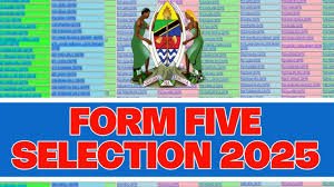 FORM ONE SELECTION 2025 – DAR ES SALAAM